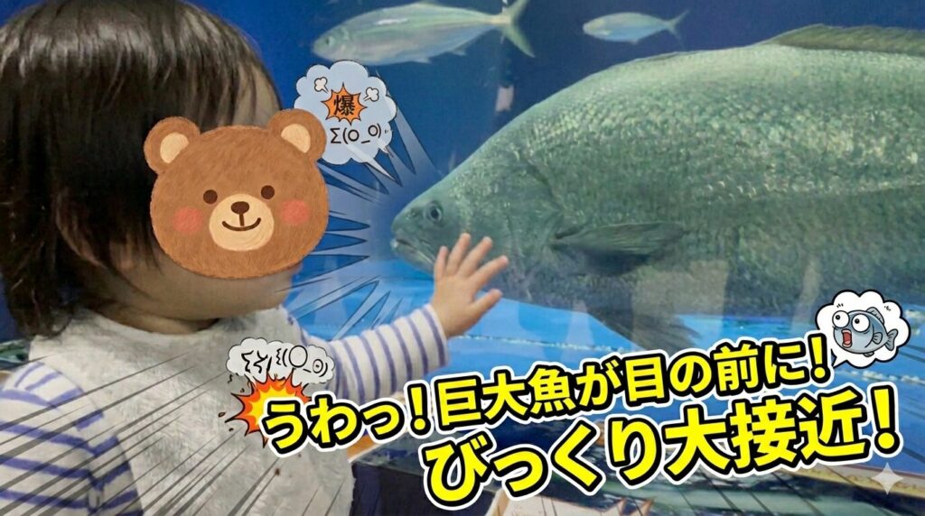 生き物との距離がちかーい！