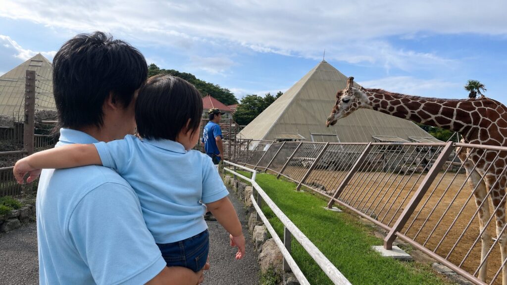 キリンも近くてびっくり！
