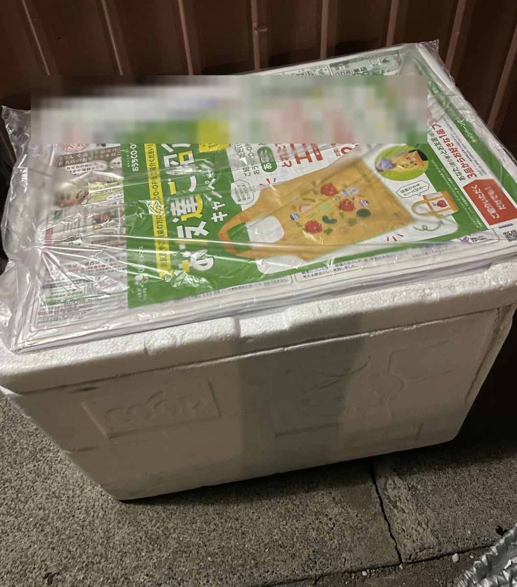 カバーを外すと、ビニールに入ったカタログが箱の上に載っている